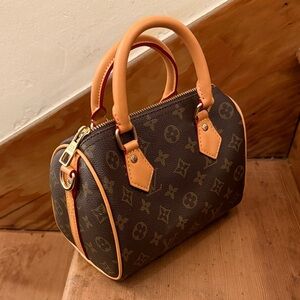 LV Speedy Handbag